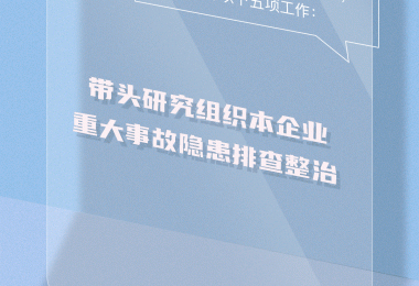 12345，1234567！@企業(yè)主要負(fù)責(zé)人